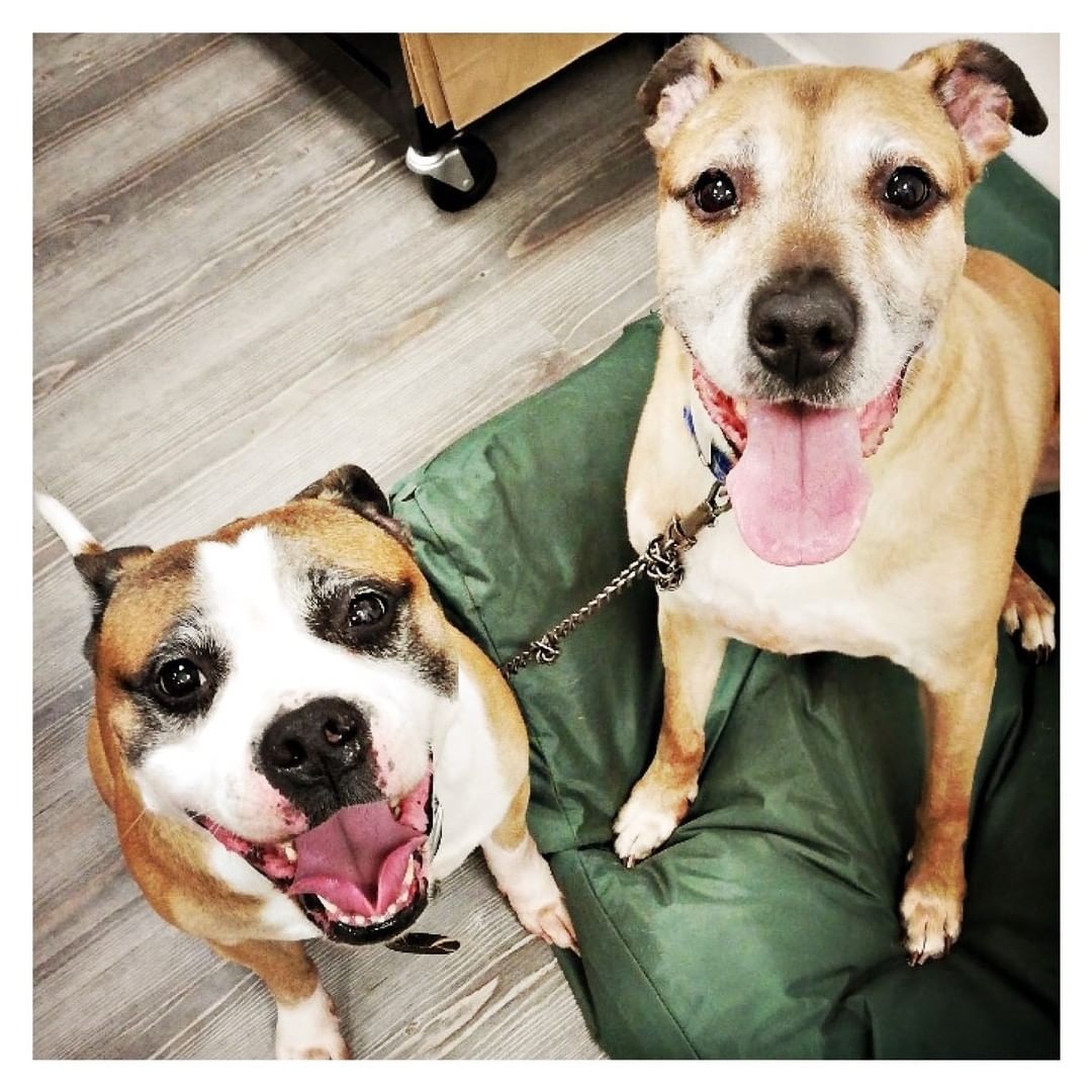 Beckenham Together tweet media