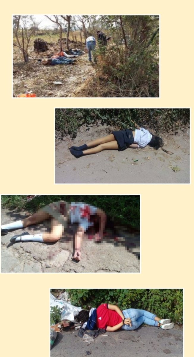 AlexHer78559946's tweet photo. @TamaraTaraciuk La preocupación es que los pueblos no vivan lo que paso en El Salvador mientras los supuestos defensores de los derechos humanos callaban https://t.co/bAel5tgBcY