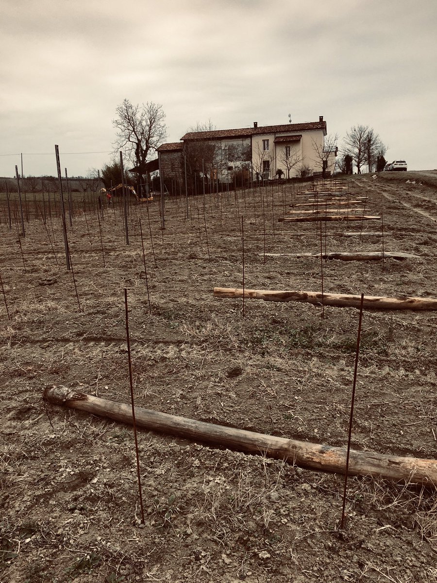 BesWinery's tweet photo. New vineyard #baratuciat #naturalmonferrato #bes #agricolabes #treville #bereesognare #winelovers #organic https://t.co/CDDAdttBri