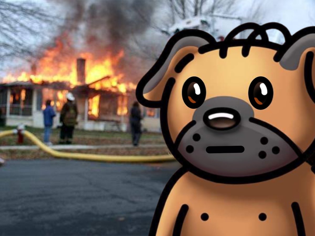 GoodDogsTM's tweet photo. Everything except the old discord and the old twitter is and has always been under our control.
Hosting, contract, wallets - I have everything. Bones from your personal accounts will not disappear anywhere.
All important decisions, as before, will be made by the community https://t.co/aBaNpZ8JyY