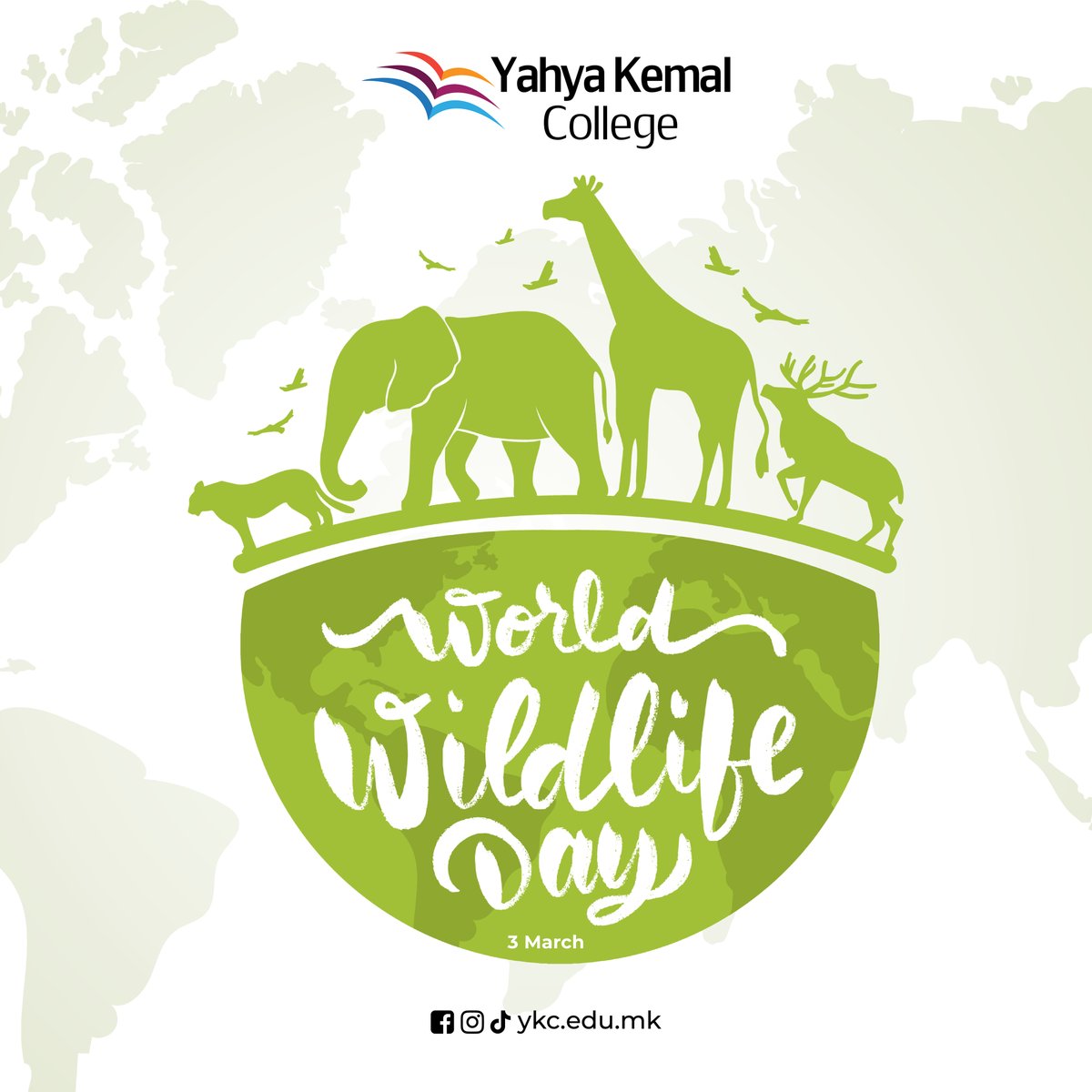 ykcedumk's tweet photo. 🌍 #World Wildlife Day is on March 3rd!
🤚 Let's protect the diverse species that make our #planet unique.
#WorldWildlifeDay #ProtectWildlife #ykcedumk #yahyakemalcollege https://t.co/M6aNEKjQah