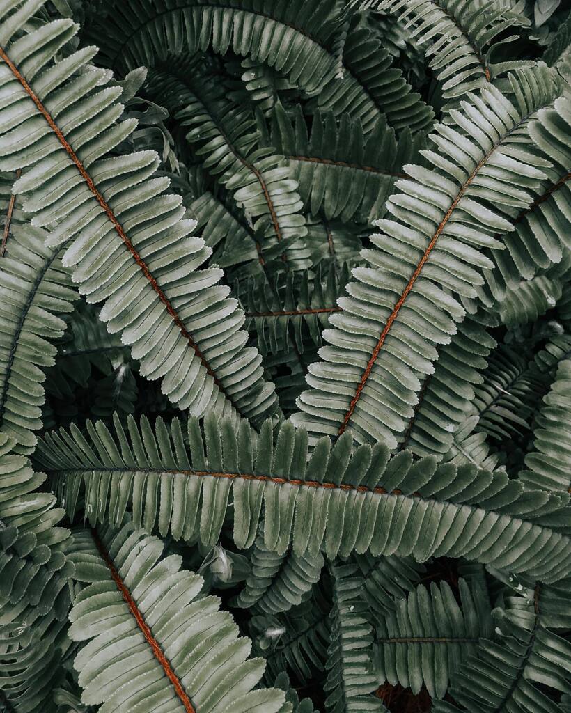 hello pretties ✨ instagr.am/p/CpU9UNIsb_e/