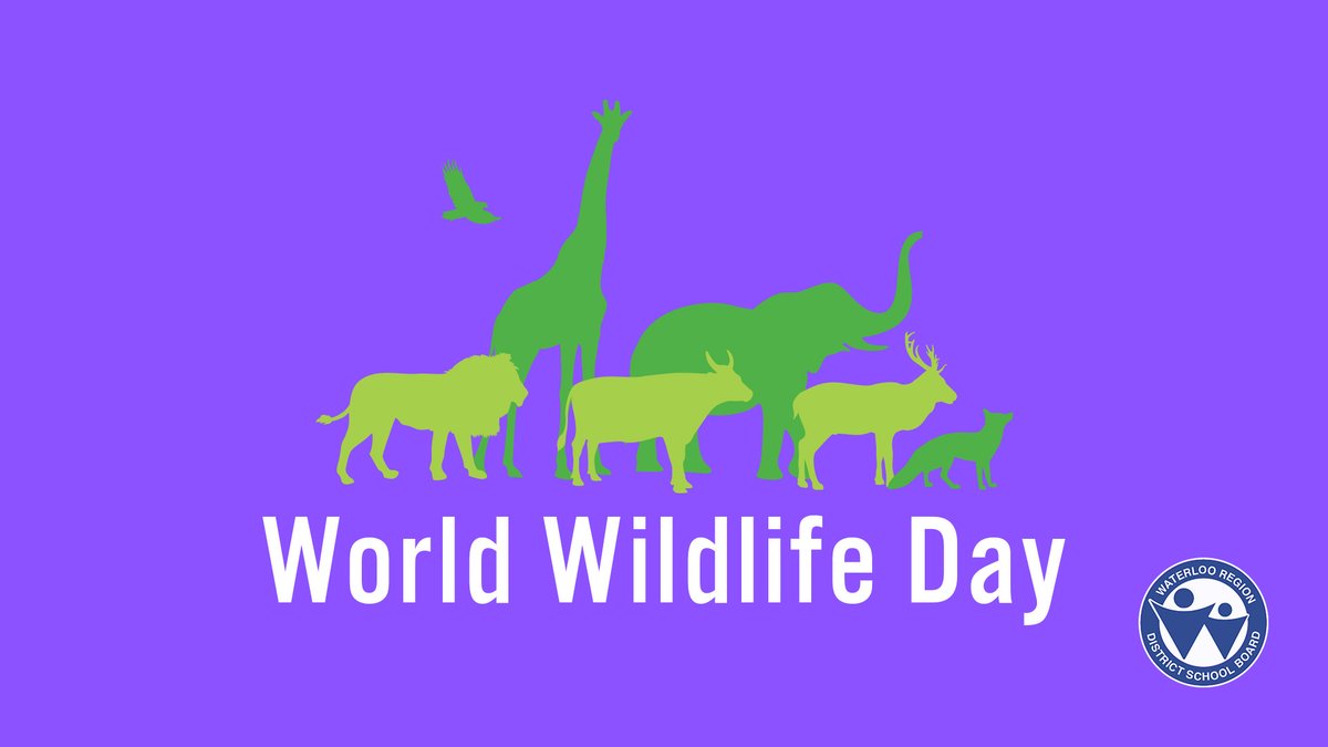 wrdsb's tweet photo. Today on #WorldWildlifeDay, we are reminded to celebrate and protect the diversity of life on this planet from wild fauna to flora. 🌎 Species conservation and ecosystem restoration require us to save threatened species and their homes as well. #WWD2023 https://t.co/P23lJHNvBZ