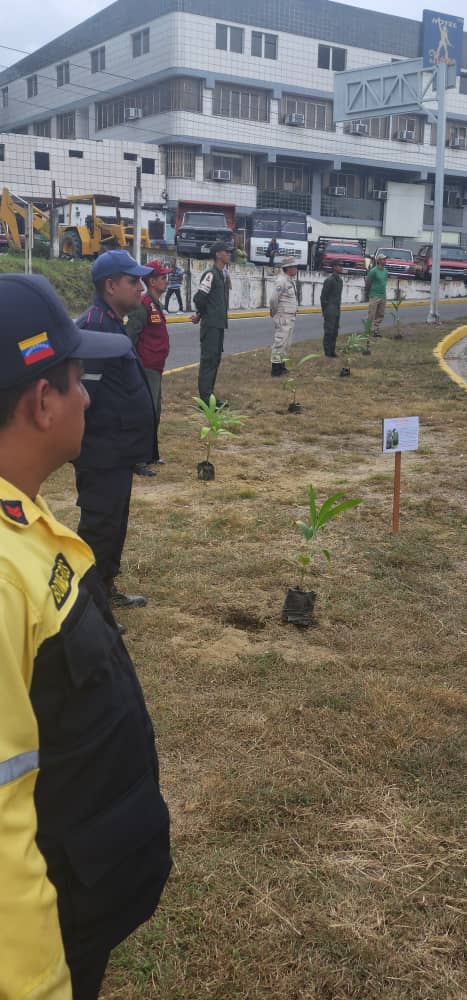 #3Mar || FANB en perfecta Unión Cívico Militar policial, desde la <a href="/ZODI23_TRUJILLO/">ZODI 23 TRUJILLO</a>  junto al Ministerio de Ecosocialismo realizan Jornada de reforestación dando  así cumplimiento al Gran objetivo Histórico N° 5 del Plan de la Patria.
#ChávezCorazónDeLosPueblos