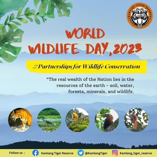 Kamlang Tiger Reserve tweet media