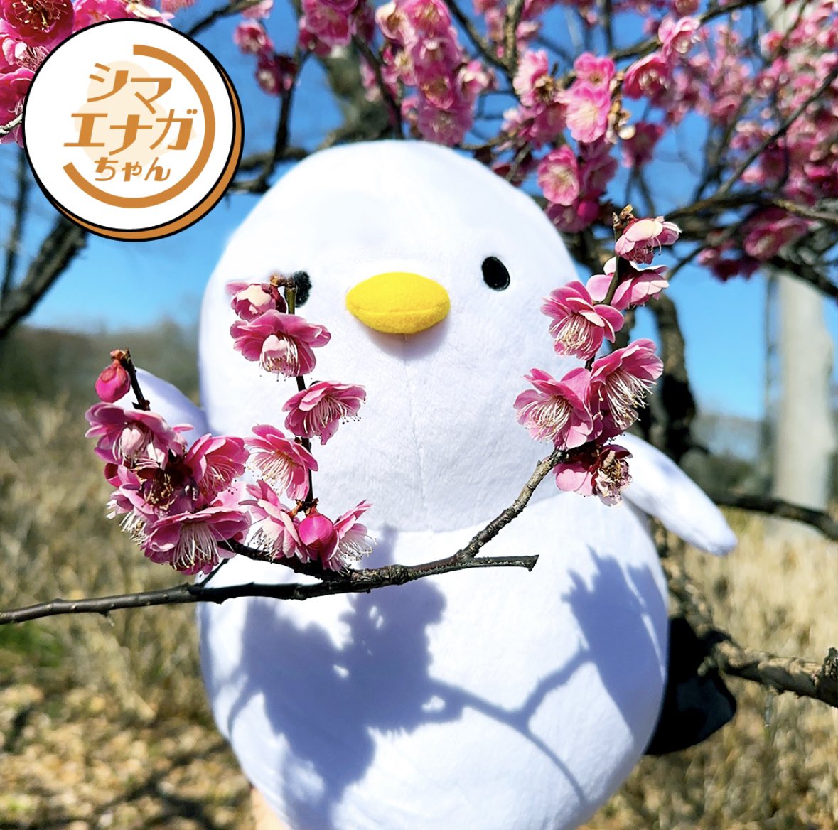 TBS『THE TIME, 』 on X