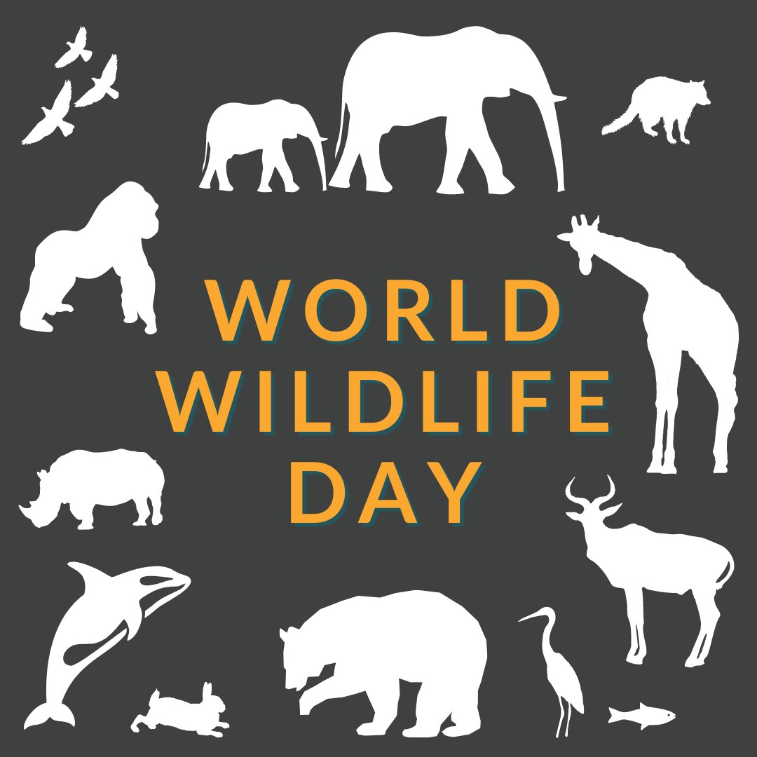 Grand River Agricultural Society tweet media