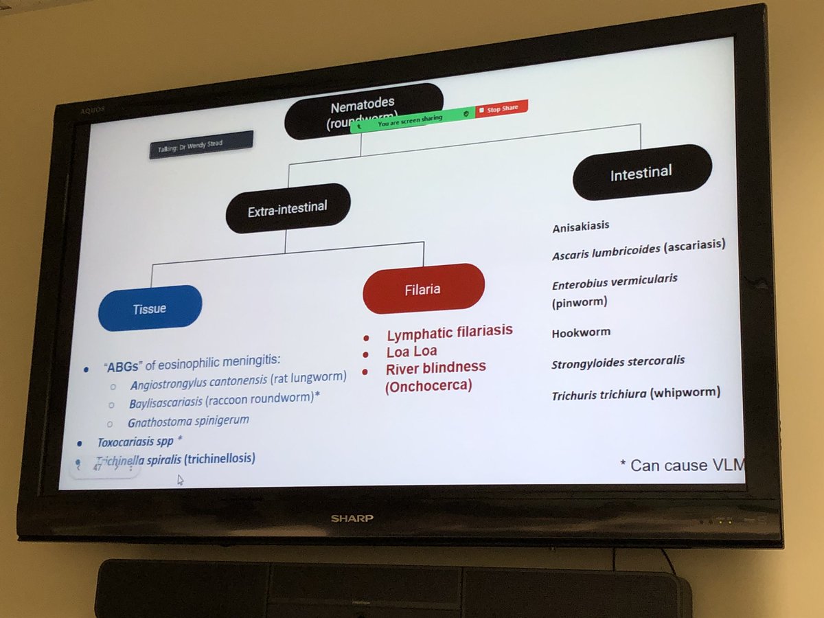 Thanks to @HawraAllawati for another show-stopping Friday fellow talk - this time on tissue tissue nematodes! If there were Emmy awards for outstanding obscure parasite talks, she would be a shoo-in! 🙏🙏🙏@BIDMC_IDFellows @BIDMC_Medicine