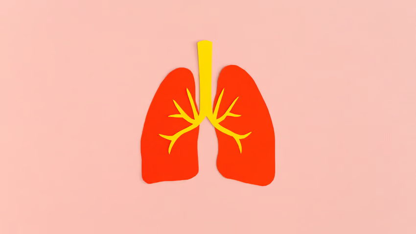 MedTechNow_'s tweet image. new partnerships

~@BeckmanDx, @memeddx partner on host #immune response test

~#ProPhaseLabs announces collaboration with #mProbe 

~@Clario and #startup @ArtiQHealth partner to improve use of #data in respiratory trials