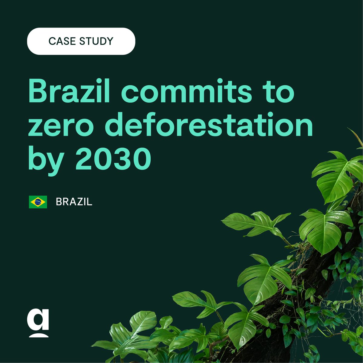 apoliticalco's tweet image. Brazil has set a bold goal to end all #deforestation by 2030. Helping to protect precious forests like the Amazon &amp;amp; the Atlantic rainforest! 🌳🌿 #zerodeforestation #sustainability apolitical.co/list/en/climat…