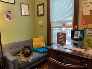 BTIS where I write! Fun facts: my writing desk belonged to my grandfather & my dad before it was mine. On the wall above Weasley, I have a Mary Oliver poem, a painting of Philly, and my first ever print pub(in the Boston Globe). #queerkidlit #kidlit