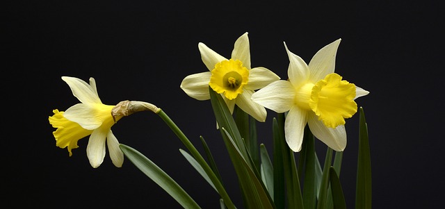 Emily4Well's tweet photo. Are you ready for Spring? - Read my latest newsletter packed with resources to help you take care of yourself, achieve your goals and much more! https://t.co/zPPE9GLYOe https://t.co/Oz3gPcMvXR