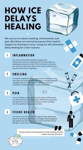 GHSTrainers's tweet image. “Icing is akin to pressing pause on the healing process rather than fast forward.”

So what are other methods to use for recovery? See the graphics below! #NATM2023 #Sleep #FoamRoller #Compression #TheresAnATForThat @EFND_Baseball @EFND_Softball @CoachHallM @vierra4