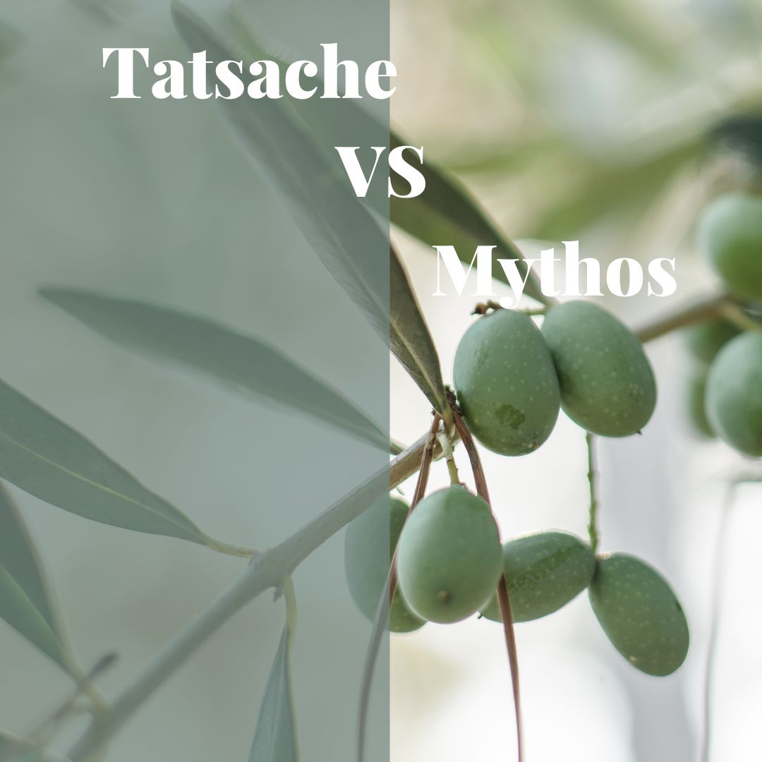 GastoneSan's tweet photo. Qualität lässt sich am besten durch Geschmack und Geruch prüfen – die Echtheit lässt sich am besten in einem entsprechend ausgestatteten Labor prüfen. 
.
.
.
.
.
.
#extravirginoliveoil #olivenöl #cooking #switzerland #swissmade #bern #gemüse #vegetables #food #healthyfood #vegan https://t.co/W95y5a785a