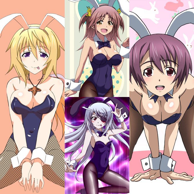 今日はうさぎの日だそうです 