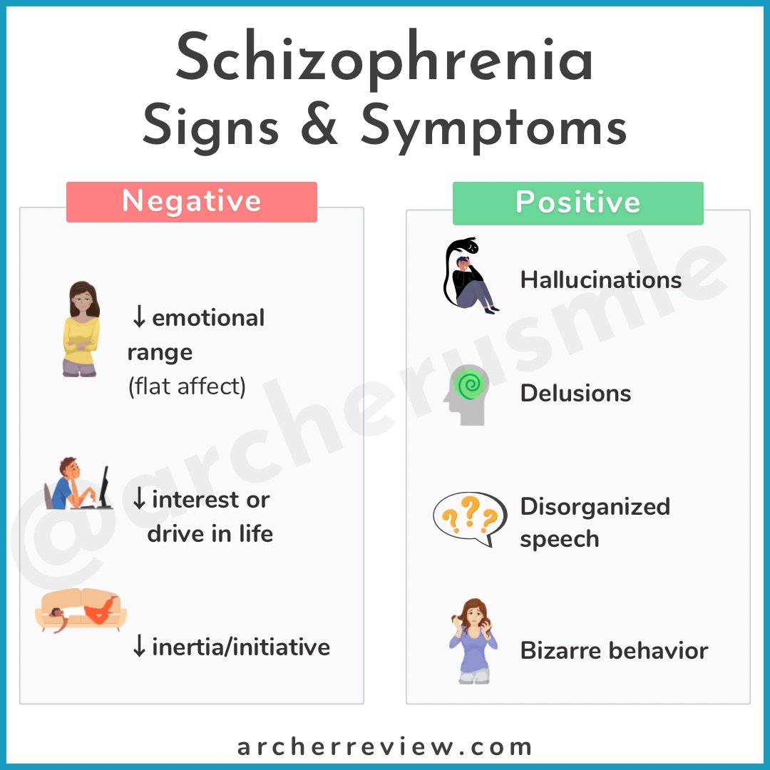 Archer USMLE Review tweet media