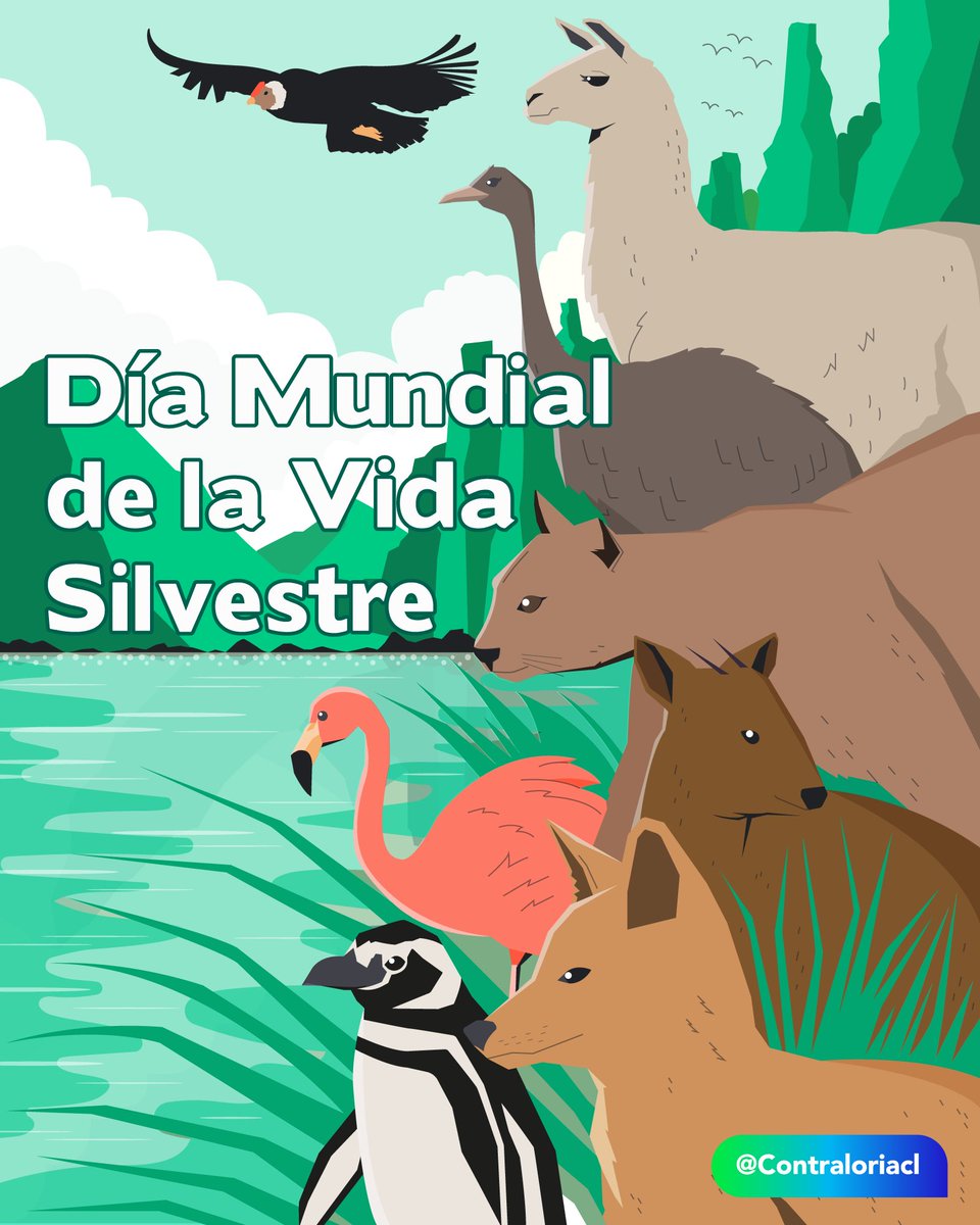 Hoy es el #DiaMundialDeLaNaturaleza y el de la #VidaSilvestre.🐯
Animales y plantas, además de su valor intrínseco, contribuyen a los aspectos ecológicos, genéticos, sociales, económicos, científicos, educativos, culturales, en el bienestar humano y el desarrollo sostenible.🌱