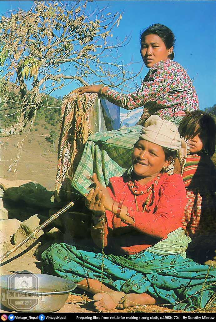 Vintage Nepal - इतिहासमा नेपाल (@vintage_nepal) on Twitter photo Women preparing fibre from nettle(सिस्नु) for making strong cloth.
c.1960s-70s | By Dorothy Mierow <a href="/Vintage_Nepal/">Vintage Nepal - इतिहासमा नेपाल</a> Women preparing fibre from nettle(सिस्नु) for making strong cloth.
c.1960s-70s | By Dorothy Mierow <a href="/Vintage_Nepal/">Vintage Nepal - इतिहासमा नेपाल</a>