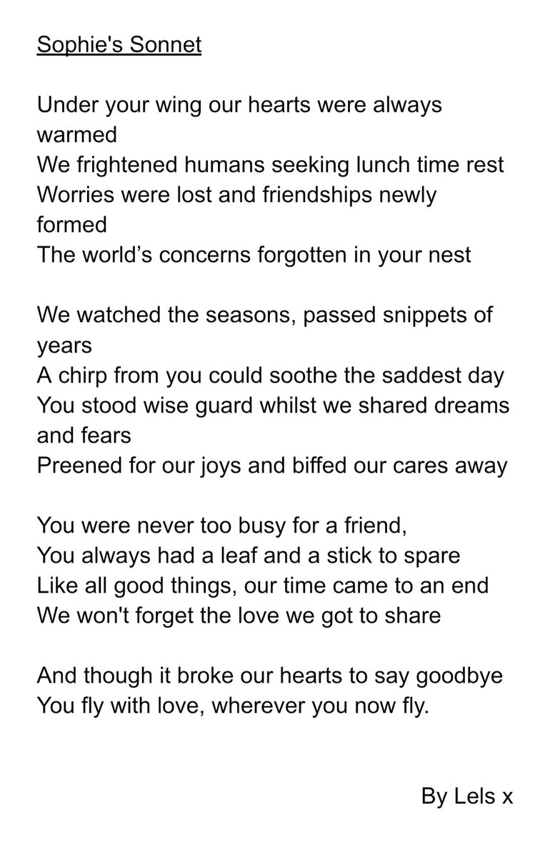 LollyLethal's tweet photo. We lost a lovey friend a year ago today, so my first Sonnet in decades is for @breesophiebree and @bowdie x https://t.co/EeILmtW2Ci