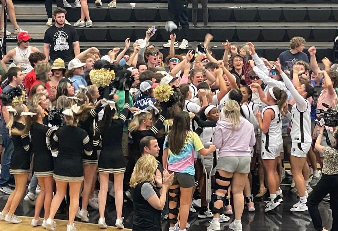 Bradley Bearettes tweet media