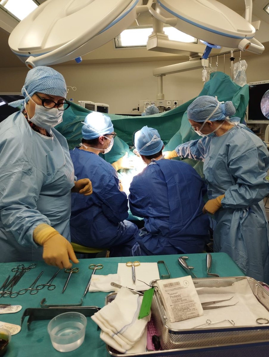 NeomedicIntES's tweet photo. Workshop para el tratamiento de la #IUE con el sistema #Remeex, la única malla reajustable de por vida.
Dar la enhorabuena al Dr. Laurent Wagner del Hospital Universitario de Nimes y al Dr. José Osvaldo Bernal del Hospital Sotero Fidel Rio de Chile por el éxito de la cirugía. https://t.co/I4fFcqX5p6
