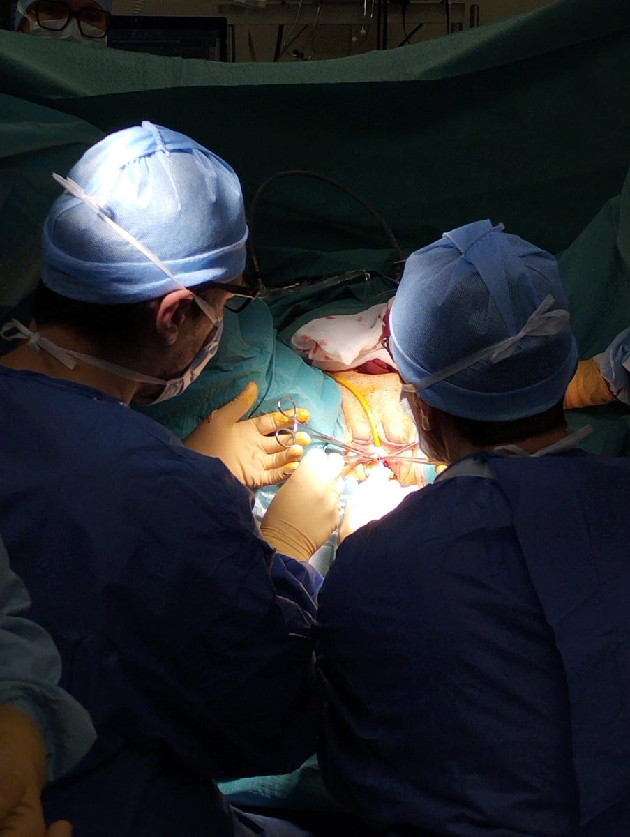 NeomedicIntES's tweet photo. Workshop para el tratamiento de la #IUE con el sistema #Remeex, la única malla reajustable de por vida.
Dar la enhorabuena al Dr. Laurent Wagner del Hospital Universitario de Nimes y al Dr. José Osvaldo Bernal del Hospital Sotero Fidel Rio de Chile por el éxito de la cirugía. https://t.co/I4fFcqX5p6