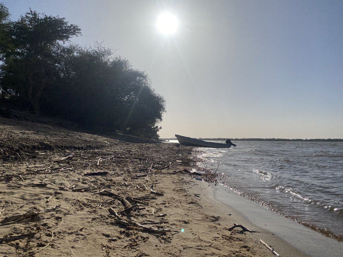 jubudka's tweet image. Afternoon setting at #Abri #Sudan #Nile