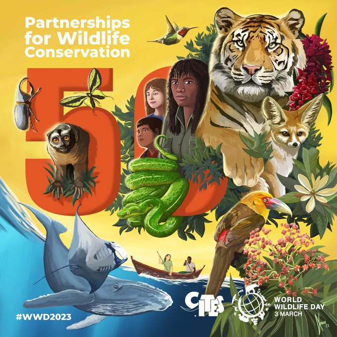 UNEP_NAmerica's tweet photo. Today is #WorldWildlifeDay 🦋🐯🐝🐬🕊🐒🦩🦜

and the 50th anniversary of the @CITES Convention on International Trade of Endangered Species of Wild Fauna and Flora!

Celebrations are underway in Washington DC- tune in live here at 10am EST: https://t.co/2RdYV6vYWF

#WWD2023 https://t.co/szNF9E7Cap