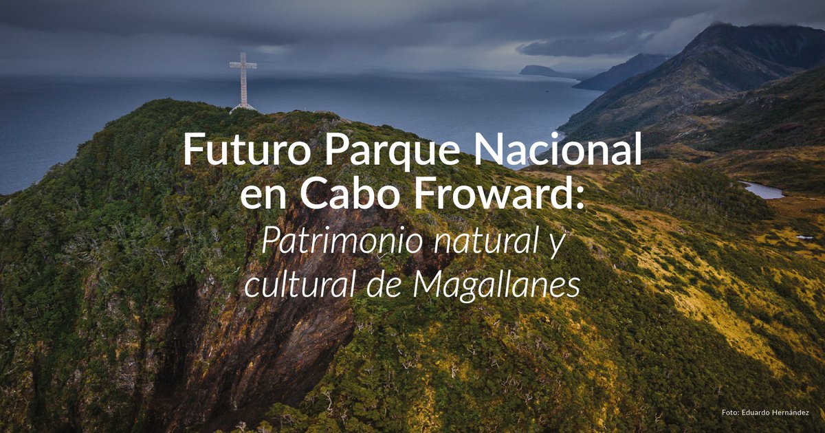 Fundación Rewilding Chile tweet media