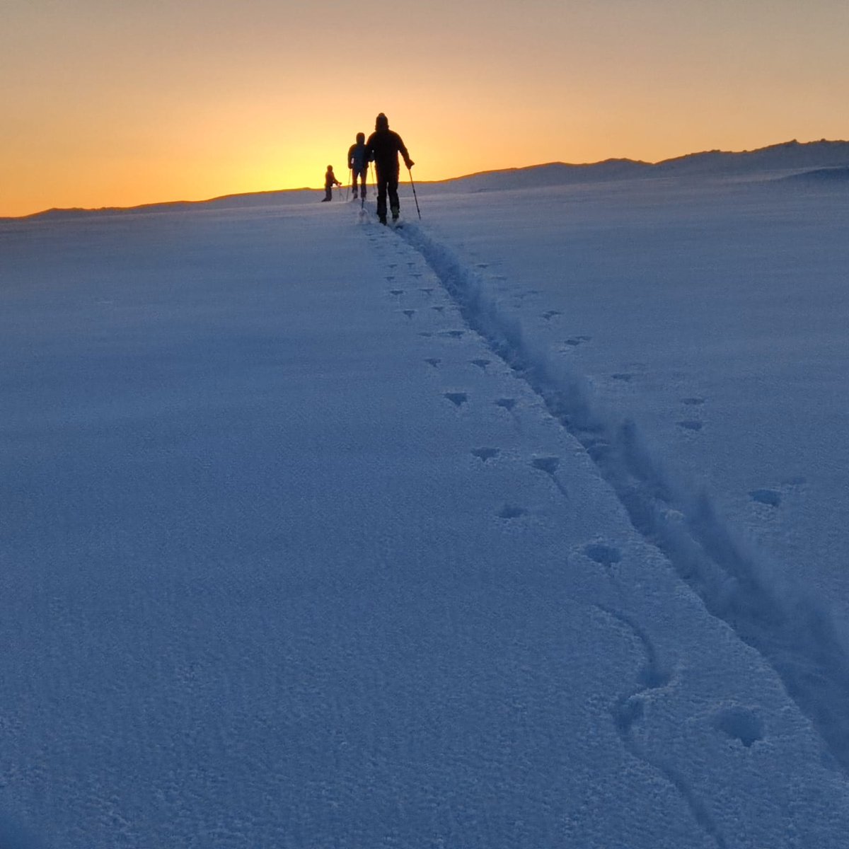 SnowReportKG's tweet photo. Song Kul lake 2nd of March 2023
#snowreport fresh snow https://t.co/So5nlPTMkR
