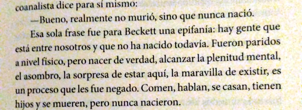 Quisi_cosa's tweet photo. ✨ https://t.co/0UGmCOP70G