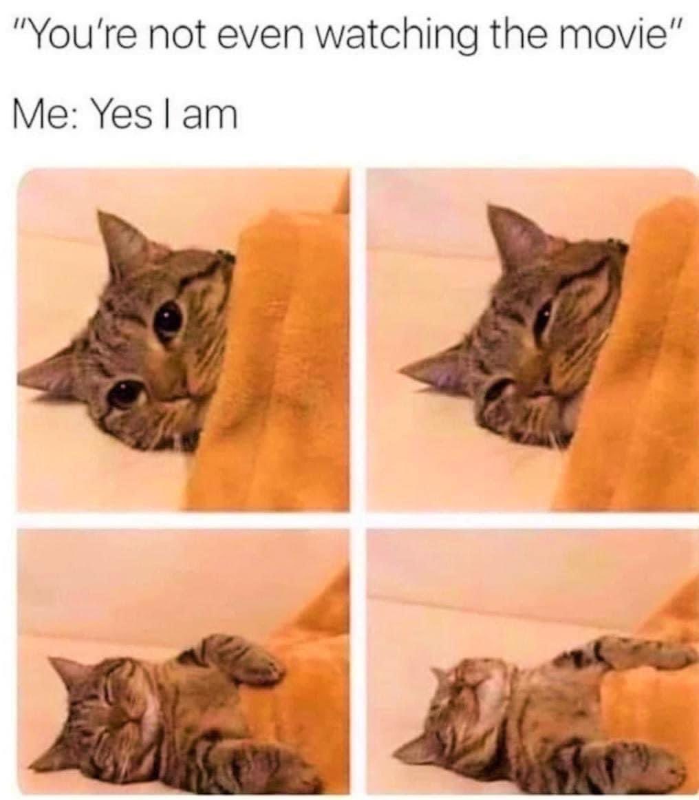 “I can feel it throughout me when I close my eyes and listen babe 🥹”

#CatMeme #netflixandchill #lemmetouchyabutt