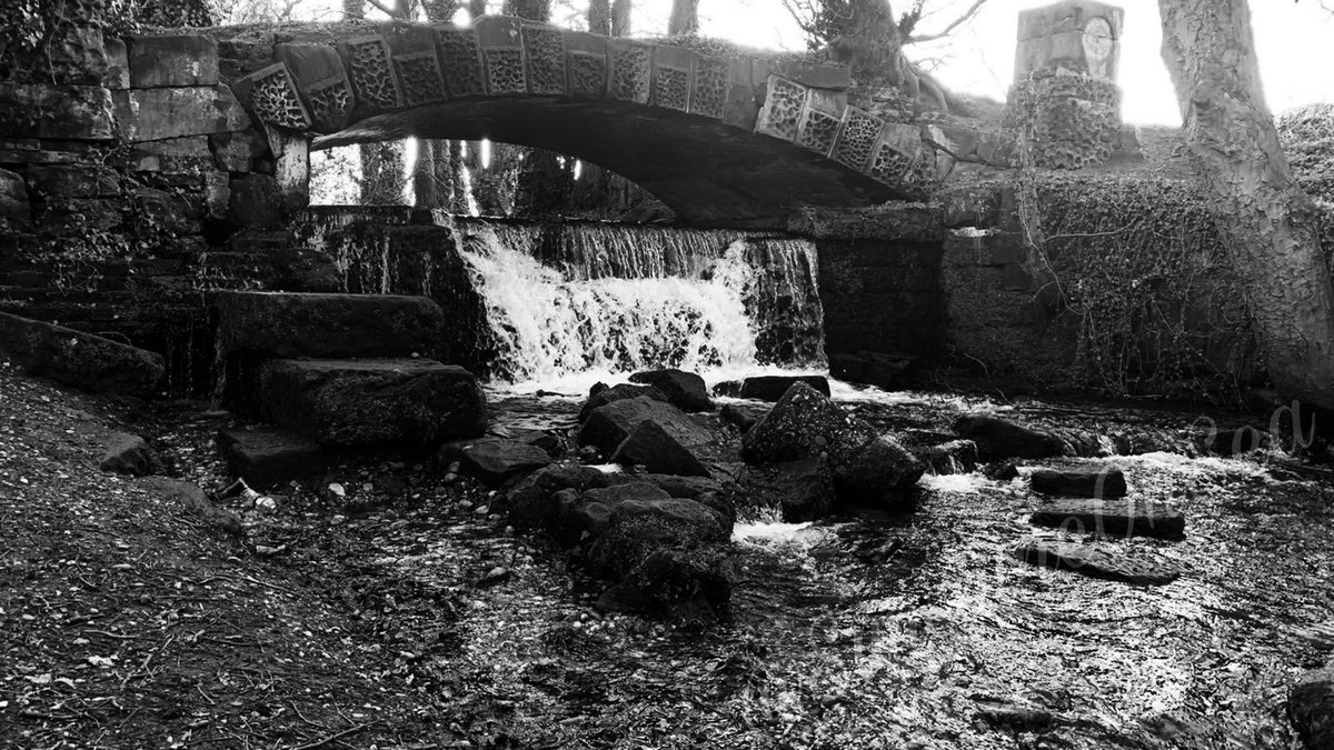 Afternoon all.
A lovely local shot for you this afternoon. I love a #blackandwhite water shot. #Rugeley #keepingitlocal #blackandwhitephotography