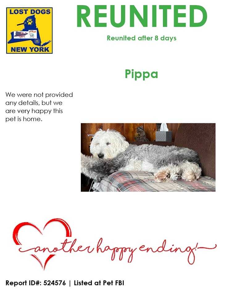 #Pippa IS home 

PLEASE SHARE- @The SPCA of Upstate New York