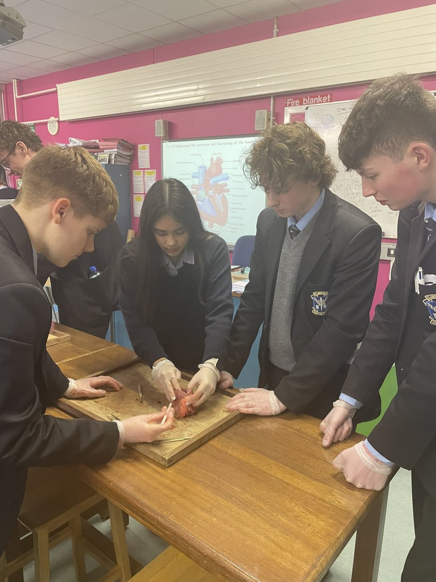 SLG Biology Dept. tweet media