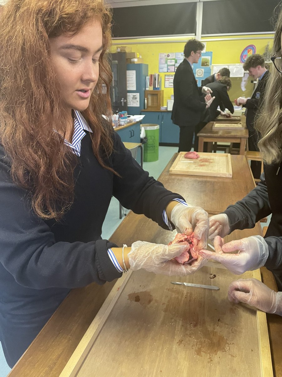 SLG Biology Dept. tweet media