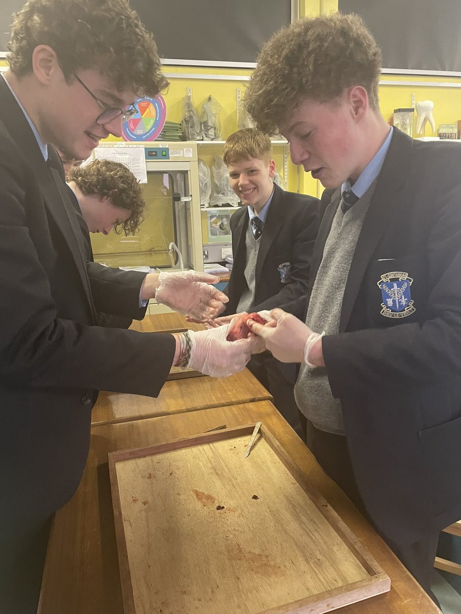 SLG Biology Dept. tweet media