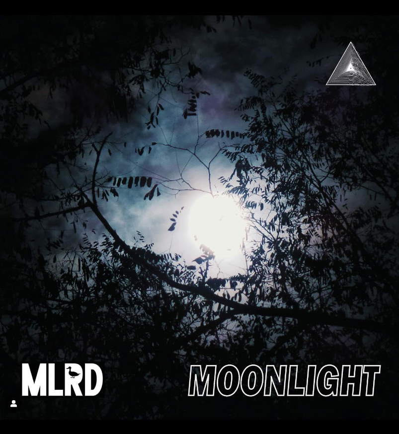 'Moonlight' will be out on the 8th of March, head on over to the link below⤵️⤵️⤵️

instagram.com/triadcollectiv…

#dnb #newmusic #single #newsingle #dnbtune #newtune #debut #dnbmeme #dnbsong #playlist #dnbmusic #producer #dj #dnbdj #dnbproducer