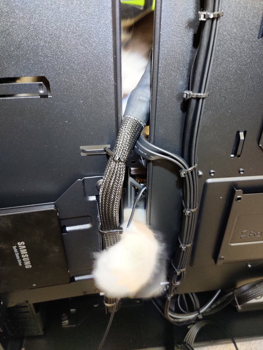Traducesar's tweet photo. @ScanComputers got the new system, works wonderful, and if you need someone to help you, my assistant proved invaluable! https://t.co/eSg7DiucMT