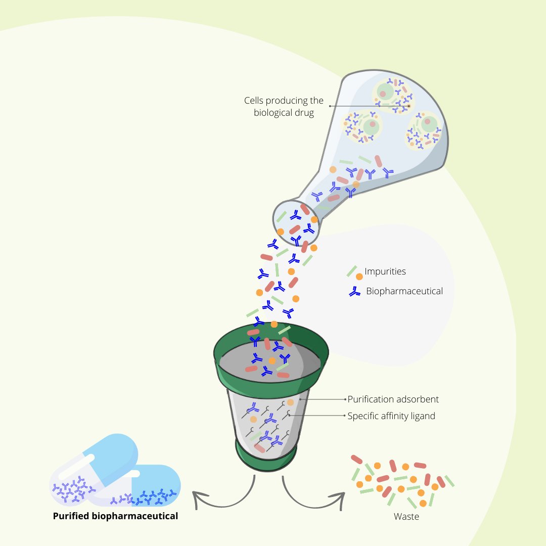 Biomeng_lab's tweet photo. #PURE_project is developing novel purification adsorbents designed to make the purification of biological drugs more sustainable and cost-effective. Curious? See more on: https://t.co/PvkbDmKzr3
@FCTNOVA @UCIBIO_Research @BOKUvienna @ibetportugal @unibt https://t.co/eFCN6gO41X