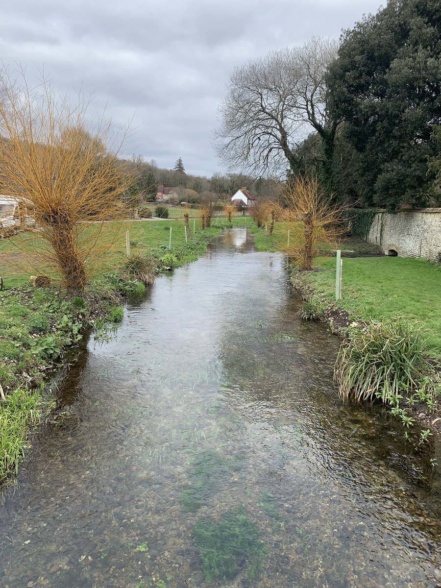Great catch-up with @RoseONei11 today by the upper Lavant #chalkstream #winterbourne - thank you Rose 😀

Lovely in-stream Macrophytes like Ranunculus emerging in the strong flow - notable that this is upstream of the deplorable waste water treatment works 

#loveyourwinterbourne