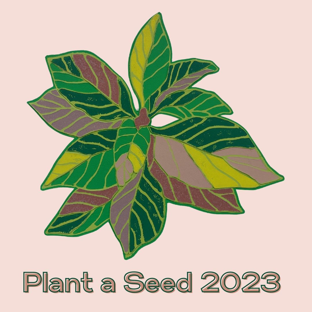 Let's meet the 🌿greens that you can find in our #Plantaseed kit this year! Producer Hudson Valley Seed Company provided New Mexico Amaranth, a beautiful and unique bi-colored grain amaranth.

Learn more:
slowfoodusa.org/plant-a-seed-2…