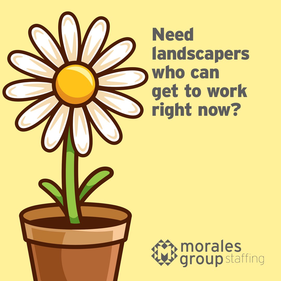Spring is right around the corner! 🪴 Let us help blossom your team with seasoned landscapers that can help grow your business. 📈 

Reach out to our qualified recruiters at Morales Staffing today! #MoralesGroupStaffing 📲 hubs.ly/Q01F3FPG0