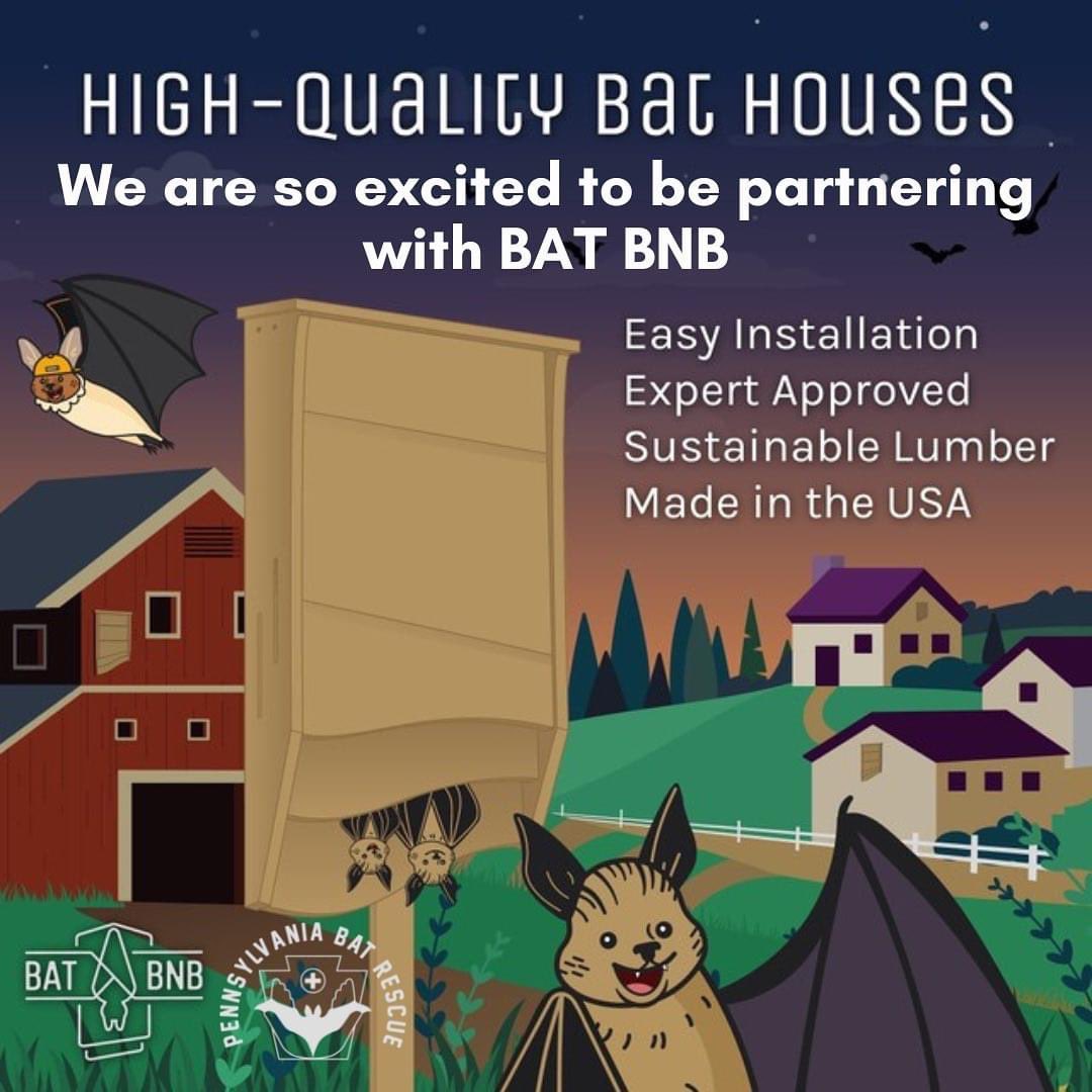We are so excited to add @pabatrescue as one of our batty conservation  partners! Happy #WorldWildlifeDay