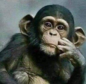 Alpakanya's tweet image. I apologize. I just wanted to check out new filters & this filter popped up so I tried it on your lame αss pic too.