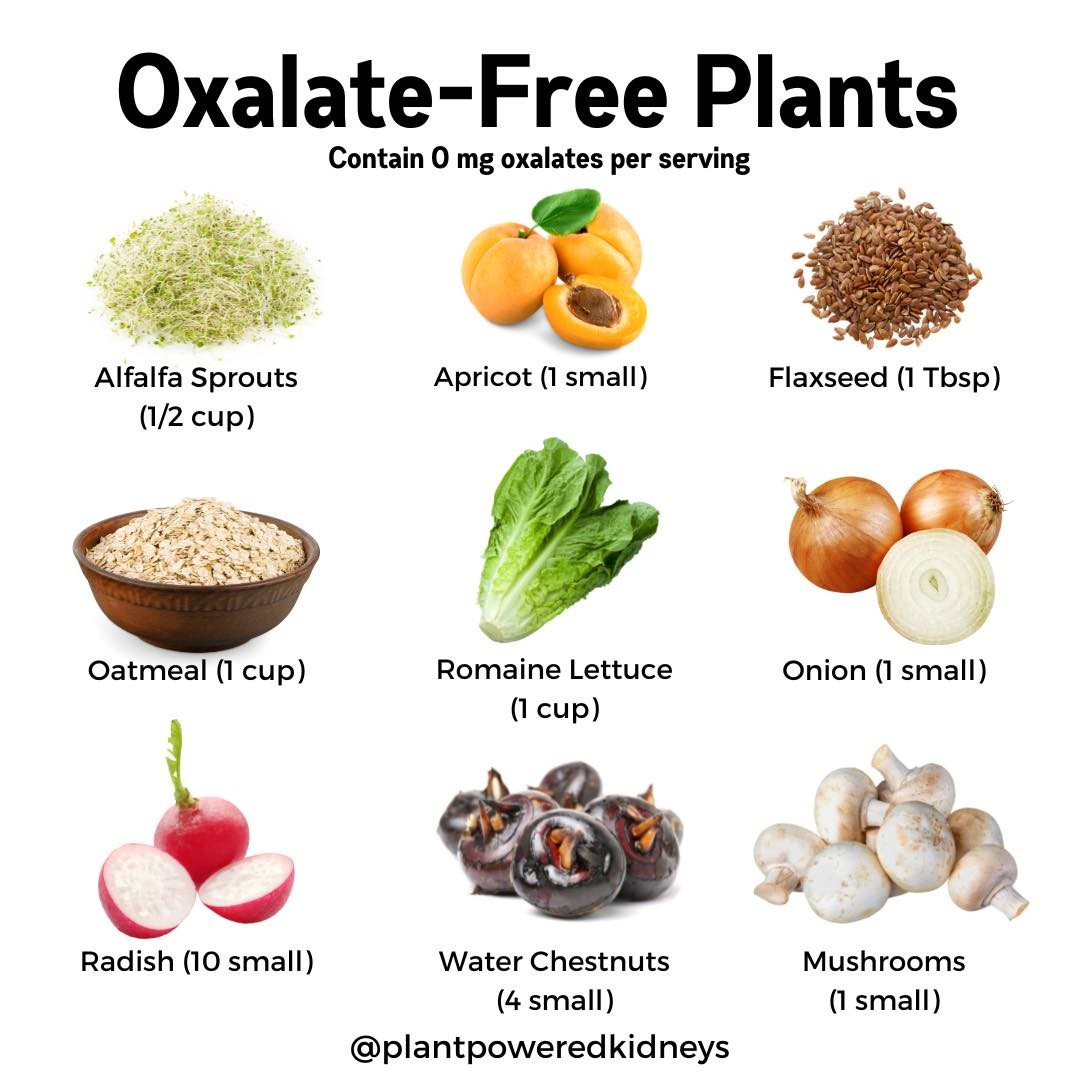 Plant-Powered Kidneys (@plntpwrdkidneys) on Twitter photo plantpoweredkidneys.com/kidney-stones/ plantpoweredkidneys.com/kidney-stones/