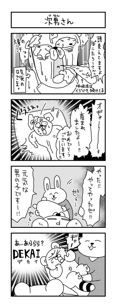 待望のご対面でごわす。

#イラスト #育児 #子育て #漫画 #ママ #育児漫画 #4コマ漫画 #出産  #臨月 #0歳 #2人目出産 