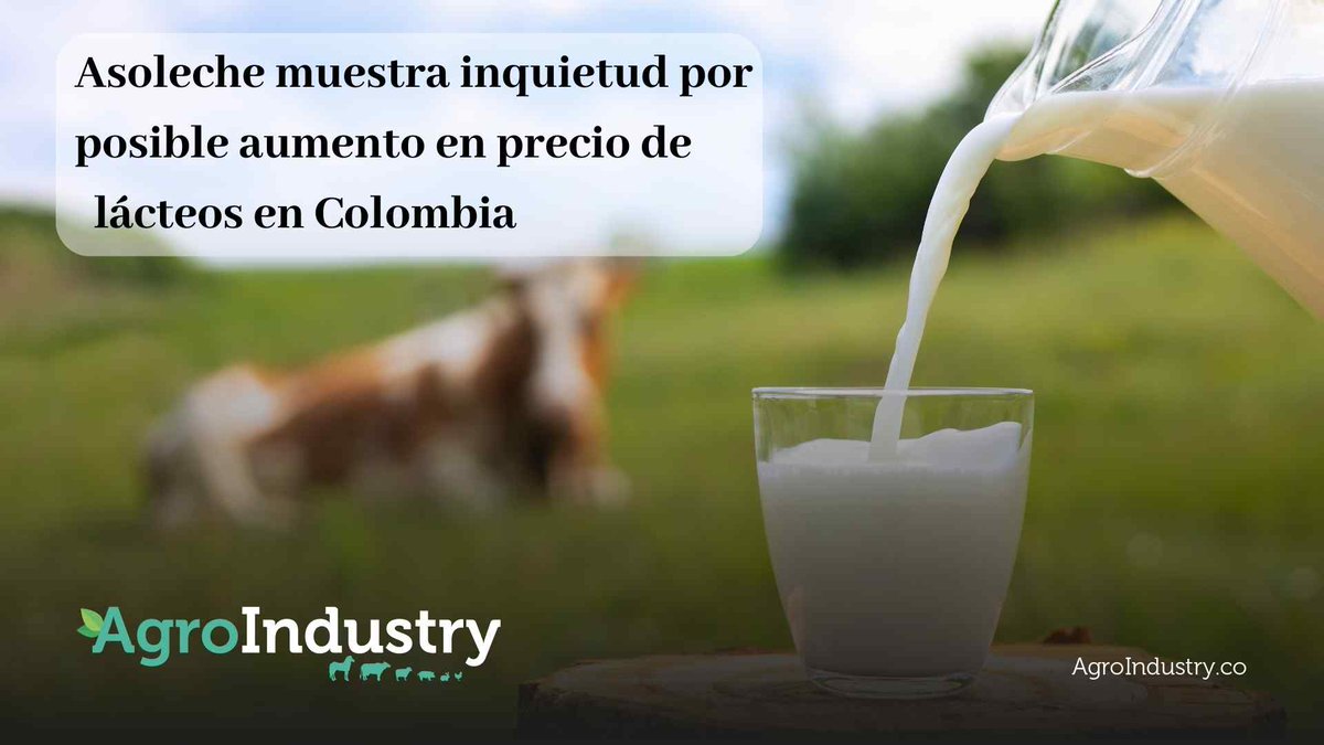 AgroIndustryMag's tweet photo. La Asociación Colombiana de Procesadores de la Leche (@asoleche ) manifestó su preocupación por la decisión del #GobiernoNacional de aumentar el porcentaje de #preciosdelaleche cruda pagada al productor en un 26%. 
https://t.co/oehAp306Nc https://t.co/3UD9KhQxCF