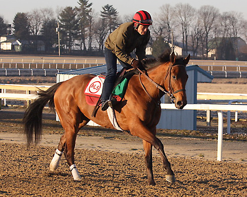 Joe Clancy (@joeclancy65) on Twitter photo The van driver takes on the big names. Undefeated Howgreatisnate steers <a href="/AndySimoff/">Andy simoff</a> back to Aqueduct's Gotham Stakes.
thisishorseracing.com/news/undefeate… The van driver takes on the big names. Undefeated Howgreatisnate steers <a href="/AndySimoff/">Andy simoff</a> back to Aqueduct's Gotham Stakes.
thisishorseracing.com/news/undefeate…