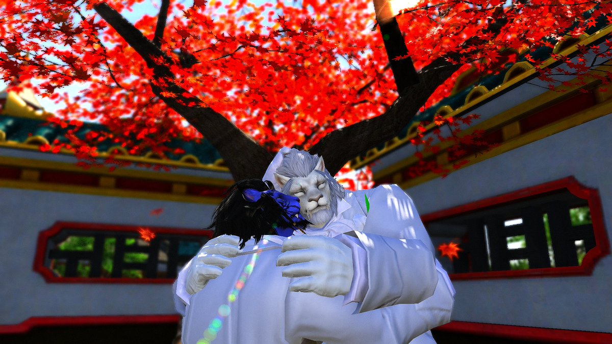 EndWalksTiger's tweet photo. @1341055817 ご結婚おめでとうございます！
❤️ https://t.co/tZOKFw3Rws